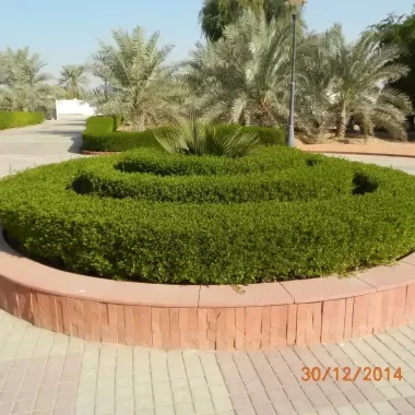 New-Project-34_17_11zon