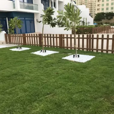 New-Project-36_15_11zon