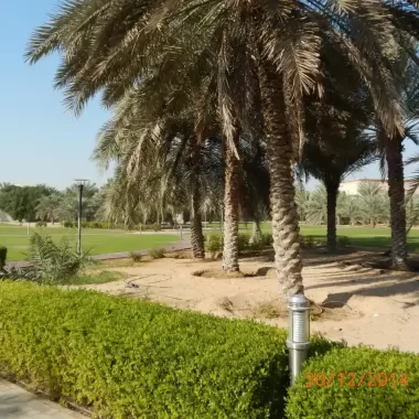 New-Project-37_14_11zon