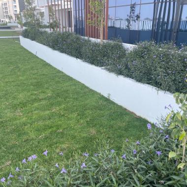 WhatsApp-Image-2026-03-02-at-13.03.54-1